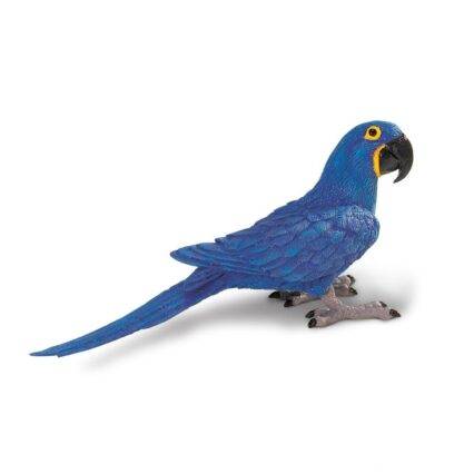 hyacinth macaw - a parrot native to central and eastern South America