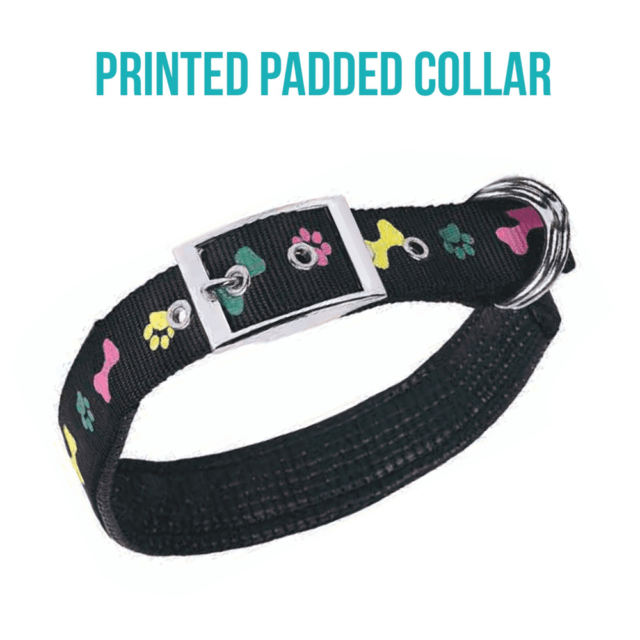 PRINTED PADDED COLLAR