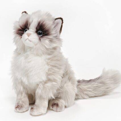 Himalayan Cat - Also known by names such as Himmmie and Colourpoint Persian.